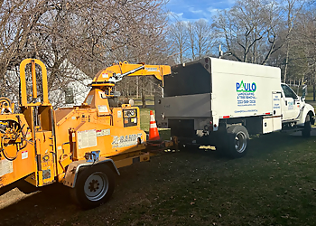 Paulo's Landscaping and Tree Removal LLC  New Haven Tree Services image 1