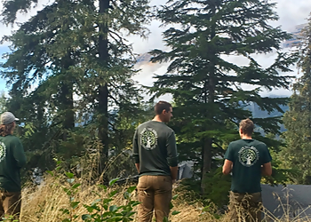 Anchorage Tree Services Paul's Tree Service