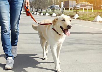 Albuquerque Dog Walkers Pauly Kostora K9 Services