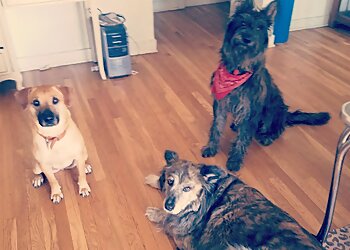 Albuquerque Dog Walkers Pauly Kostora K9 Services