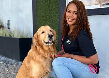 San Diego Dog Training Paw Commons Pet Resort & Training Center