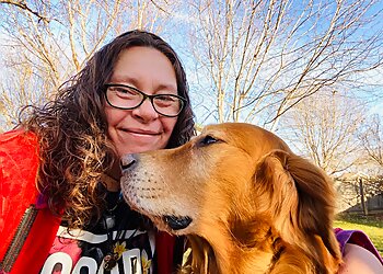 Lincoln Dog Walkers Paw Sensitive