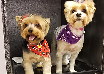 Elk Grove Pet Grooming Paw Spa
