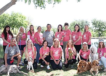 Phoenix Dog Walkers Pawfect Pet Sitter