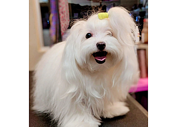 Riverside Pet Grooming Pawlished Paws Boutique & Spa