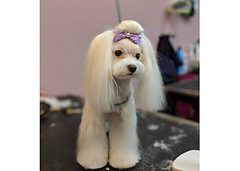 Riverside Pet Grooming Pawlished Paws Boutique & Spa