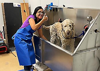 Coral Springs Pet Grooming Pawmper Fluffy Salon and Pet Spa