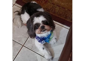 Pawpurrazzi Professional Grooming Salon - Laredo, TX Pet Grooming - Healthcare Moments