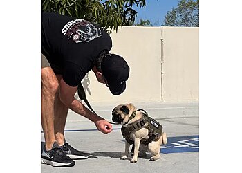 Huntington Beach Dog Training Paws Chateau