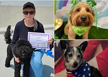 Huntington Beach Dog Training Paws Chateau