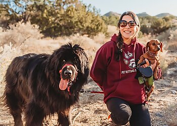 Albuquerque Dog Walkers Paws In Action, LLC.