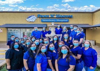 Paws N’ Hooves Veterinary Hospital El Paso Veterinary Clinics
