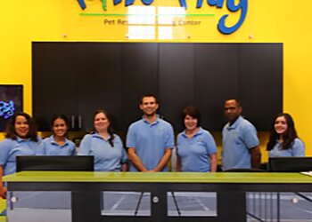 Paws & Play Pet Resort and Training Center Yonkers Dog Training image 1