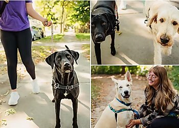 Madison Dog Walkers Paws and Claws Dog Walking & Pet Service