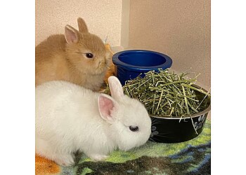 Miami Veterinary Clinics Paws and Claws Medical Center