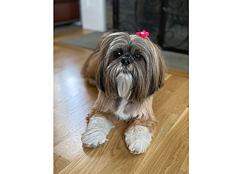 Paws and Claws Pet Grooming Salon - Worcester, MA Pet Grooming - Service Highlights