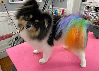 Boston Pet Grooming Pawsh Dog Boutique & Salon