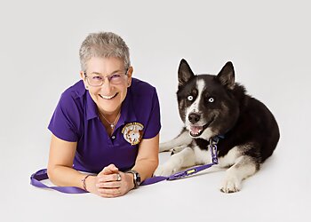 Albuquerque Dog Training Pawsitive Training ABQ