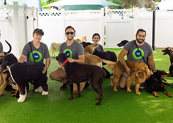 Paws 'n' Rec Tampa Pet Grooming image 1