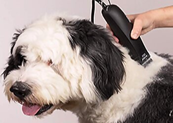 Pawz N Klawz Des Moines Pet Grooming image 1
