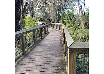 Gainesville Hiking Trails Paynes Prairie Preserve State Park