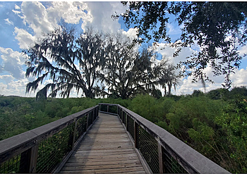 Gainesville Hiking Trails Paynes Prairie Preserve State Park