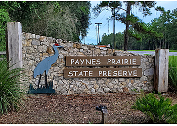 Paynes Prairie Preserve State Park Gainesville Hiking Trails image 1