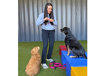 Houston Dog Training Peace Love Dogs