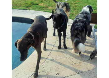 Corpus Christi Dog Walkers Peace of Mind Pet and Home Services