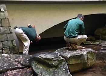 Augusta Pest Control Companies Peachtree Pest Control