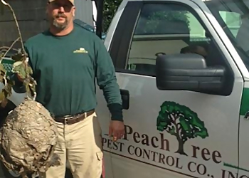 Peachtree Pest Control Augusta Pest Control Companies image 1
