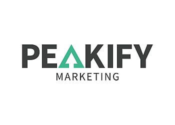 Peakify Marketing-Salinas Salinas Advertising Agencies