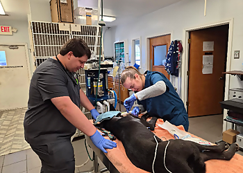 Pearland Pet Health Center - Pearland, TX Veterinary Clinics - Treatment Image