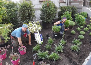 Cambridge Landscaping Companies Pemberton Garden Services Inc.