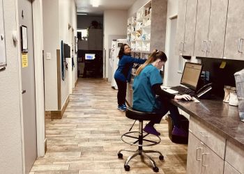 Fort Worth Veterinary Clinics Penny Paws Animal Clinic Fort Worth