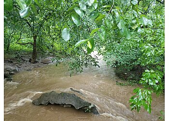 Philadelphia Hiking Trails Pennypack Park