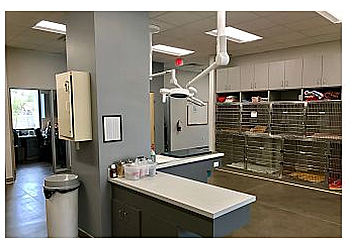 Peoria Veterinary Clinics Peoria Animal Hospital