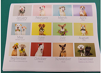 Seattle Printing Services Perfect Copy & Print