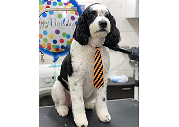 Concord Pet Grooming Perfect Pet Salon