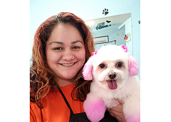 Joliet Pet Grooming Perfect Pooch