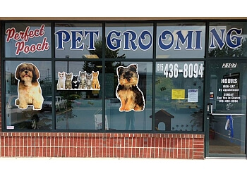 Joliet pet grooming Perfect Pooch