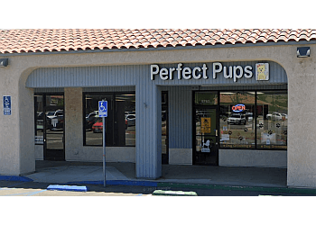 Perfect Pups Spa