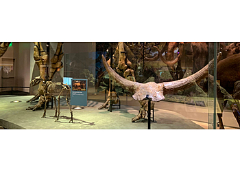 Dallas Museums Perot Museum of Nature and Science