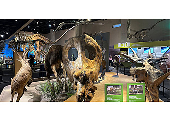 Dallas Museums Perot Museum of Nature and Science