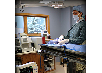 Rockford Veterinary Clinics Perryville Pet Hospital