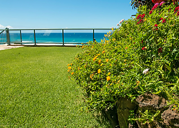 Honolulu Landscaping Companies Personal Touch Landscape