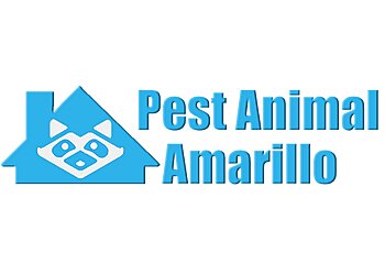 Amarillo Animal Removal Pest Animal Removal Amarillo