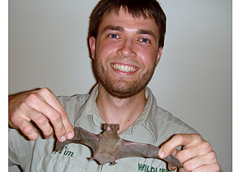 San Francisco Animal Removal Pest Animal Removal San Francisco