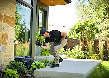 Lakewood Pest Control Companies Pest Arrest Pest Control