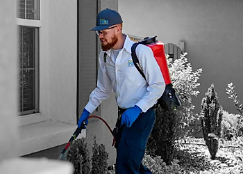 Sacramento Pest Control Companies Pest Pros Pest Solutions